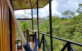Onca Tours & Treehouses